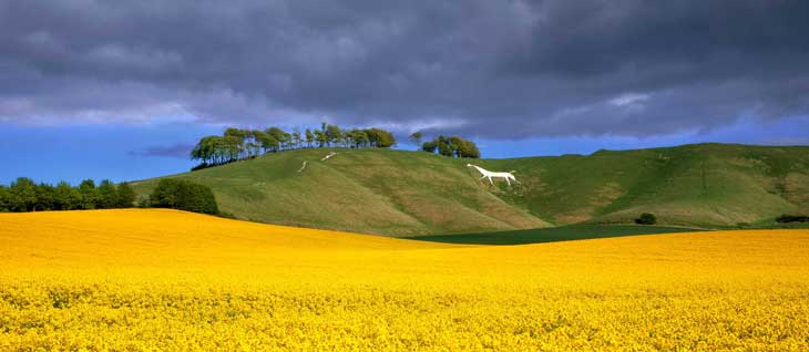 Cherhill Whitehorse, Wiltshire