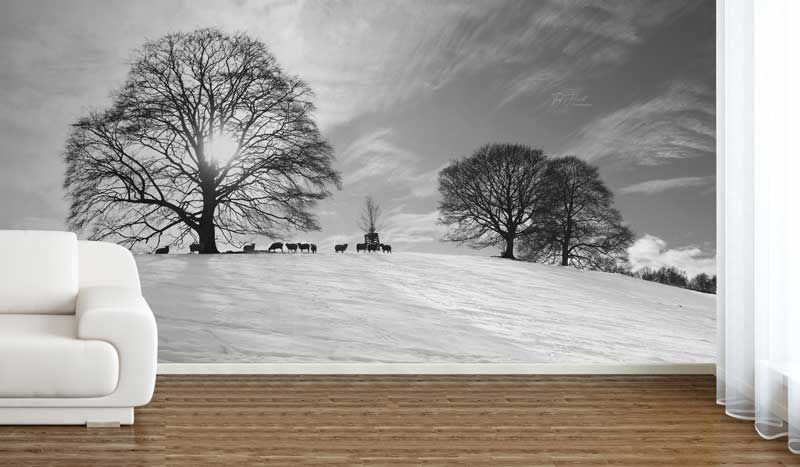 Winter Trees, The Cotswolds Wallpaper Mural