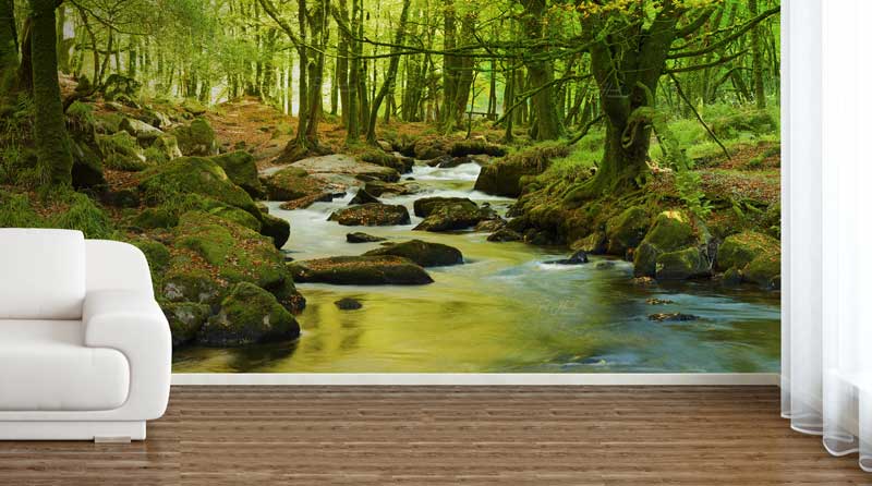 Golitha Falls, River Fowey, Cornwall Wallpaper Mural