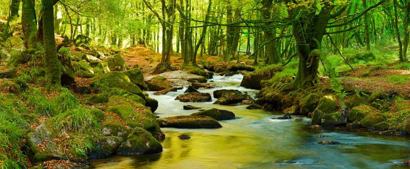 Golitha Falls, River Fowey