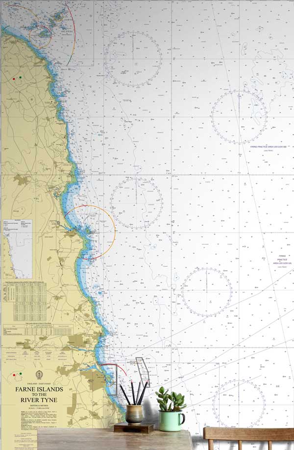 Farne Islands to River Tyne Wallpaper Mural