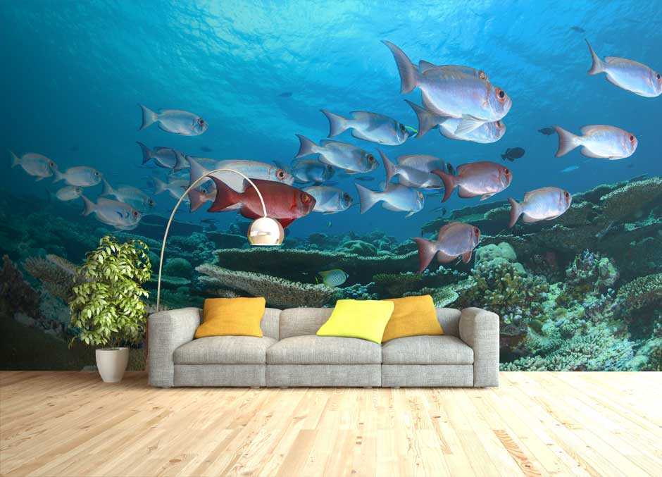 Custom Wall Murals & Photo Wallpaper | Redcliffe Imaging