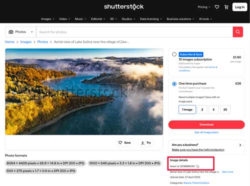 Shutterstock Image Library search result ID