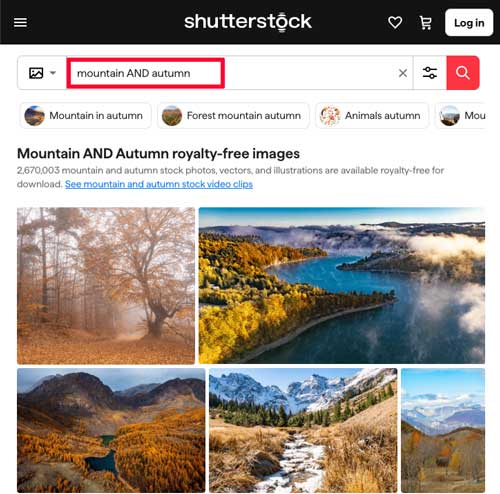 Shutterstock photo library search tool