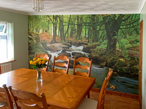 Dining room forest photo wall mural - Adrian Chambers